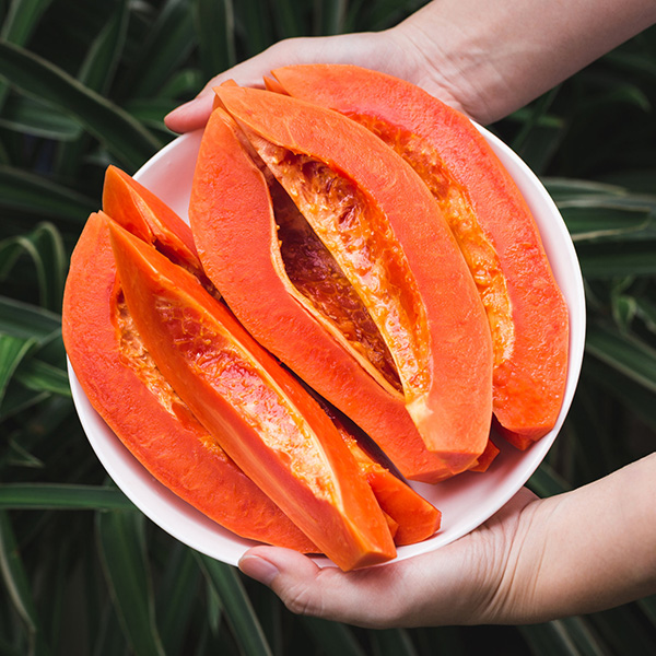 網室木瓜 6公斤/箱